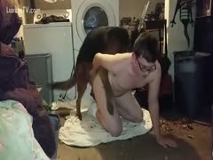 A nerdy adolescent of legal age is on his hands and knees as his Alsatian smacks his ass.